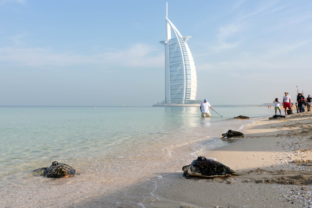 INILAH DAFTAR TEMPAT DI DUBAI UNTUK MELIHAT ANEKA SATWA